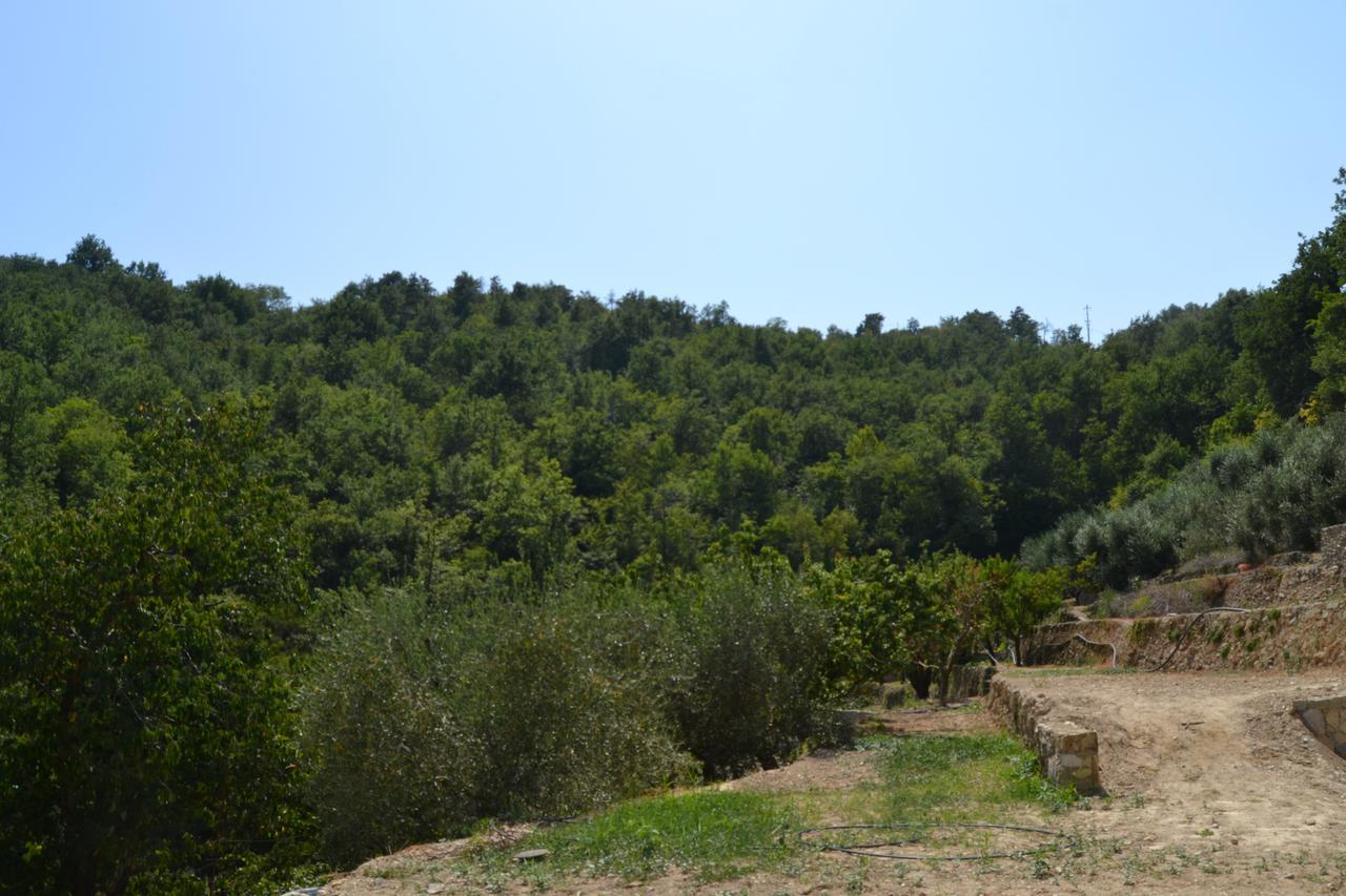 Bed and Breakfast Joie De Vivre Calice Ligure Exterior foto